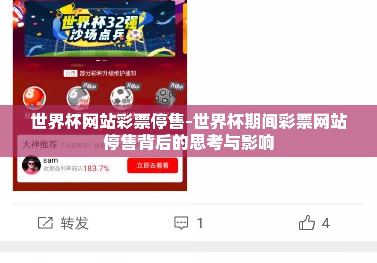 世界杯网站彩票停售-世界杯期间彩票网站停售背后的思考与影响