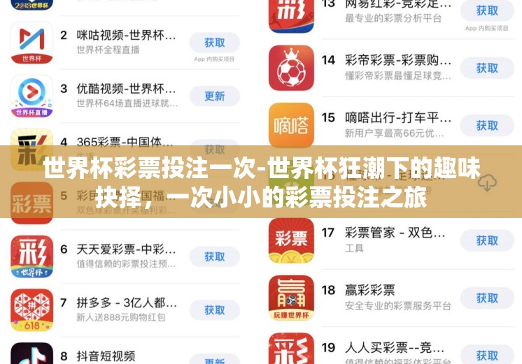 世界杯彩票投注一次-世界杯狂潮下的趣味抉择，一次小小的彩票投注之旅
