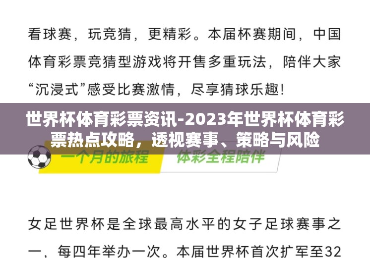 世界杯体育彩票资讯-2023年世界杯体育彩票热点攻略，透视赛事、策略与风险