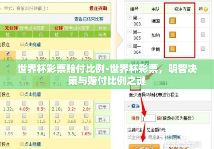 世界杯彩票赔付比例-世界杯彩票，明智决策与赔付比例之谜