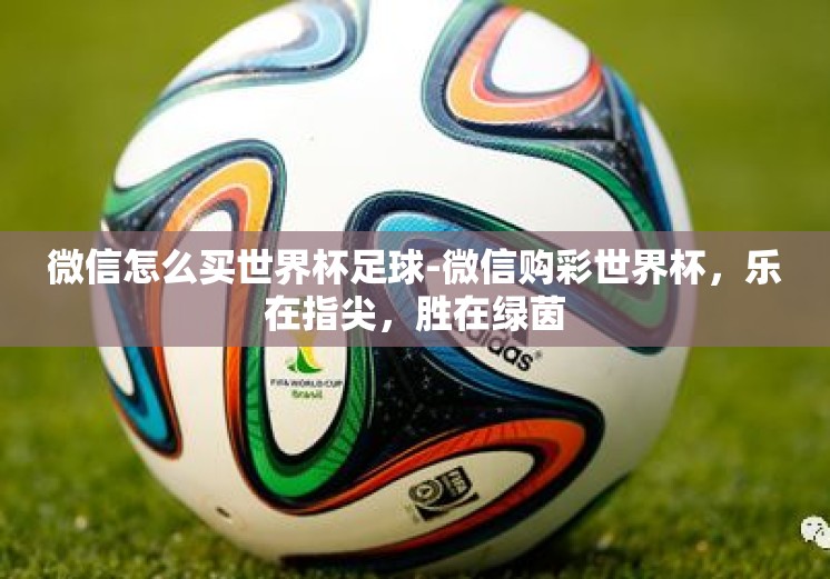 微信怎么买世界杯足球-微信购彩世界杯，乐在指尖，胜在绿茵