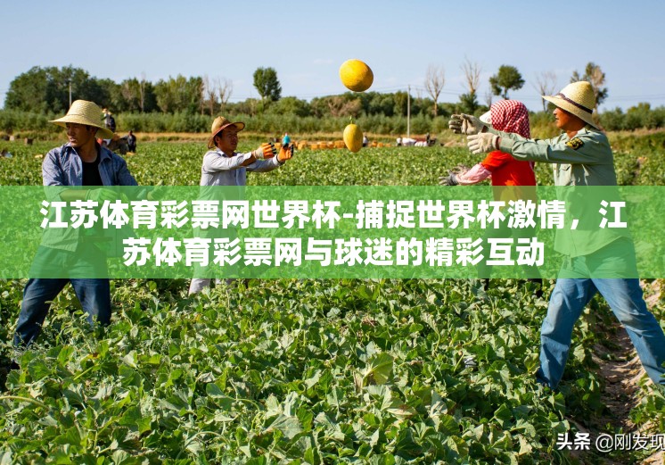 江苏体育彩票网世界杯-捕捉世界杯激情，江苏体育彩票网与球迷的精彩互动