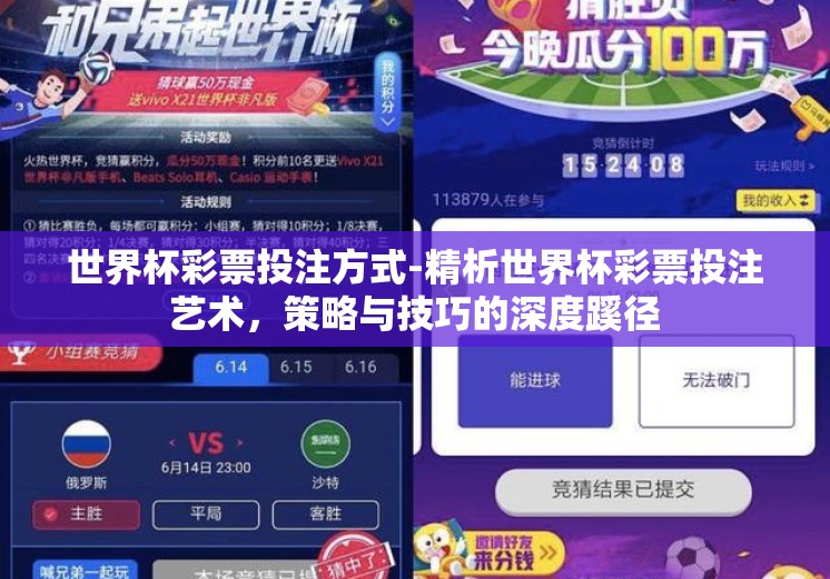 世界杯彩票投注方式-精析世界杯彩票投注艺术，策略与技巧的深度蹊径