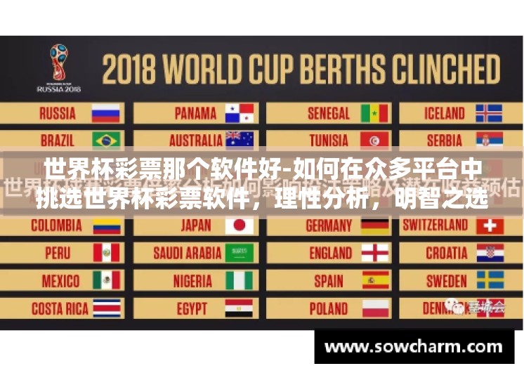 世界杯彩票那个软件好-如何在众多平台中挑选世界杯彩票软件，理性分析，明智之选