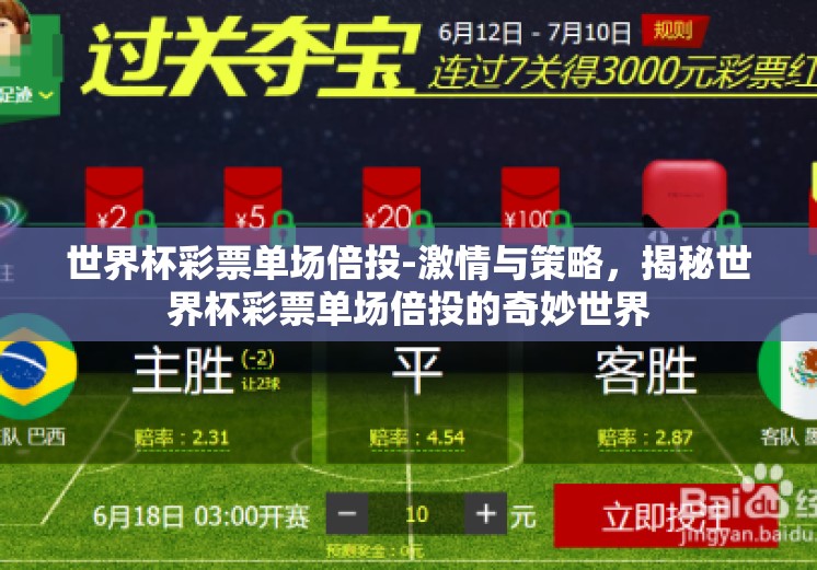 世界杯彩票单场倍投-激情与策略，揭秘世界杯彩票单场倍投的奇妙世界