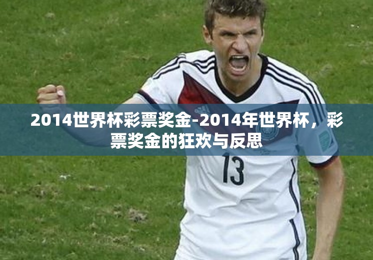 2014世界杯彩票奖金-2014年世界杯，彩票奖金的狂欢与反思