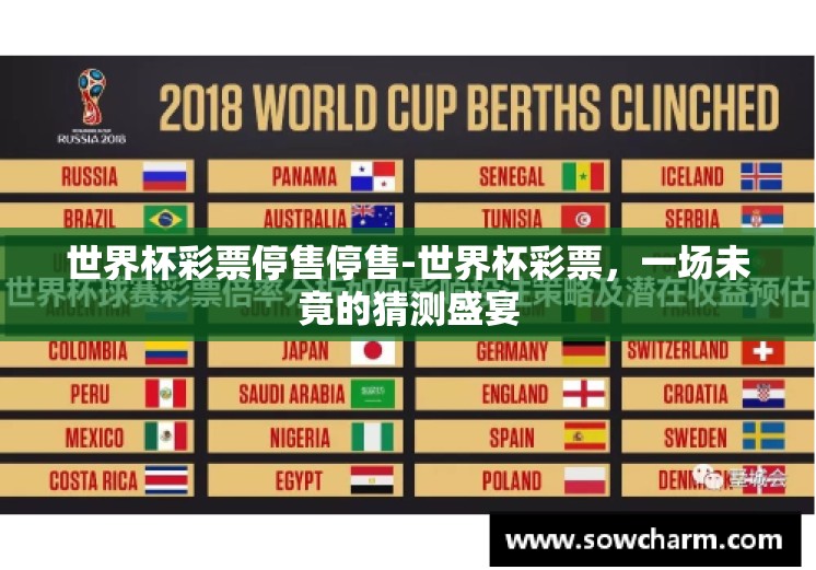 世界杯彩票停售停售-世界杯彩票，一场未竟的猜测盛宴