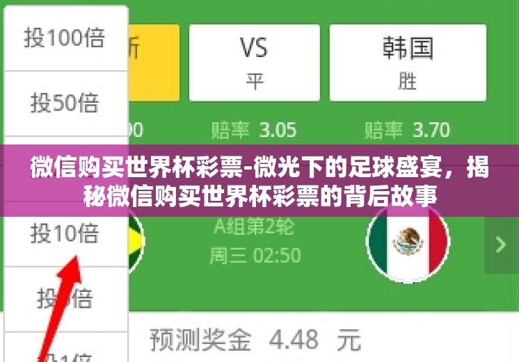 微信购买世界杯彩票-微光下的足球盛宴，揭秘微信购买世界杯彩票的背后故事