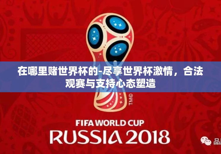 在哪里赌世界杯的-尽享世界杯激情，合法观赛与支持心态塑造