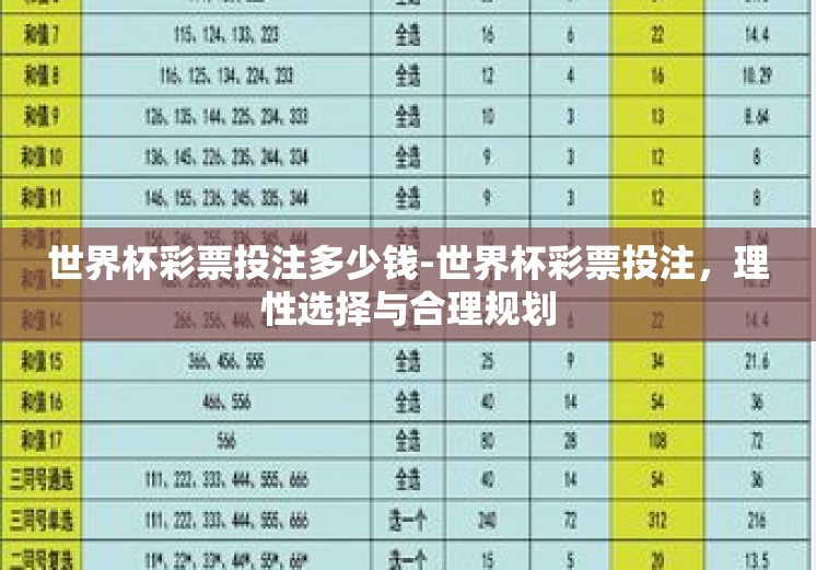 世界杯彩票投注多少钱-世界杯彩票投注，理性选择与合理规划
