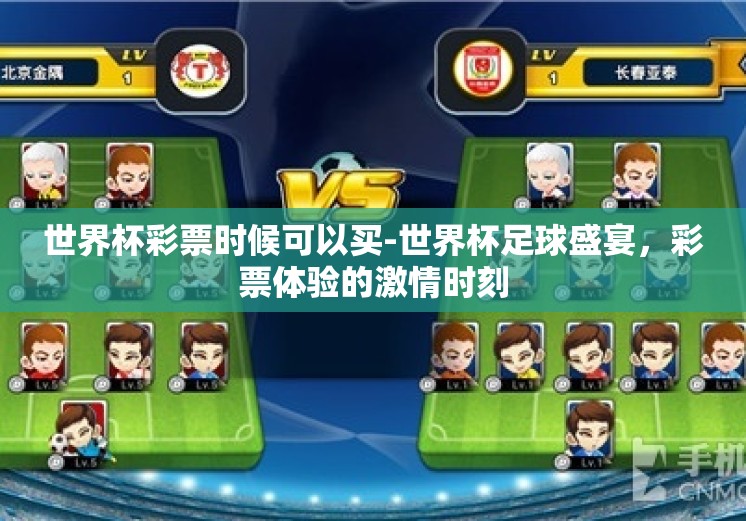世界杯彩票时候可以买-世界杯足球盛宴，彩票体验的激情时刻