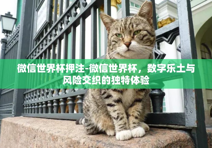 微信世界杯押注-微信世界杯，数字乐土与风险交织的独特体验
