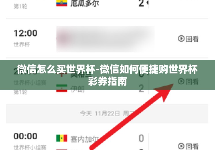 微信怎么买世界杯-微信如何便捷购世界杯彩券指南