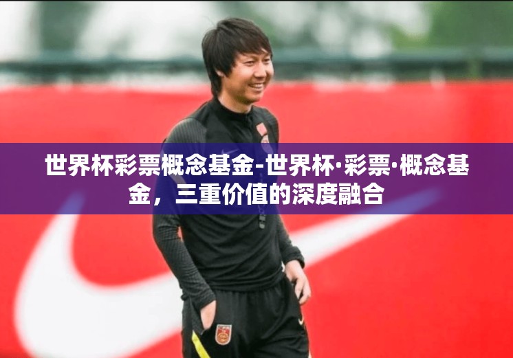 世界杯彩票概念基金-世界杯·彩票·概念基金，三重价值的深度融合