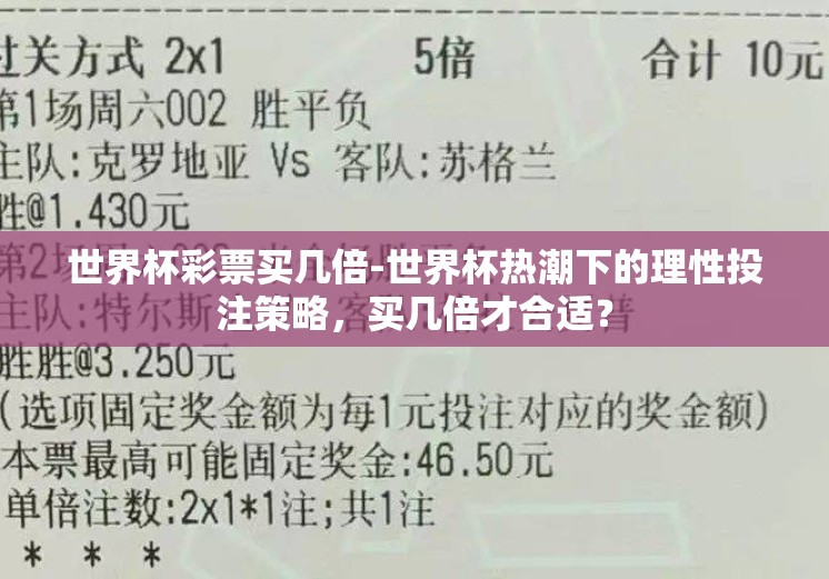世界杯彩票买几倍-世界杯热潮下的理性投注策略，买几倍才合适？