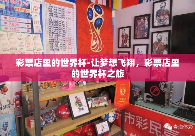 彩票店里的世界杯-让梦想飞翔，彩票店里的世界杯之旅
